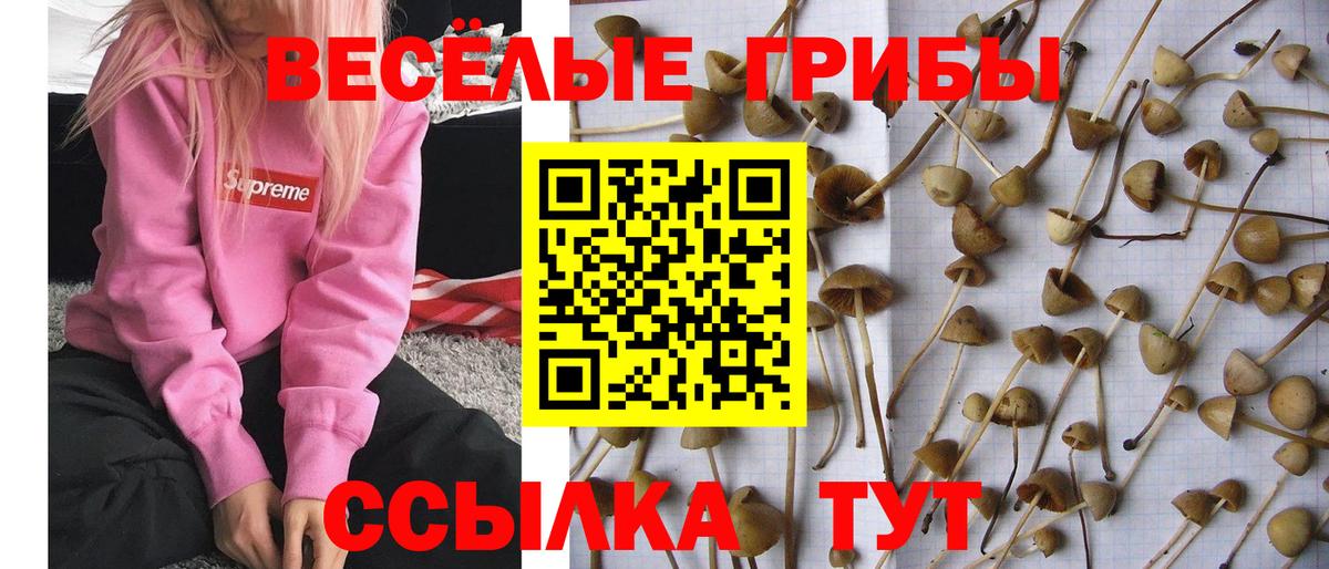 Югорск  Псилоцибиновые грибы GOLDEN TEACHER  Галлюциногенные грибы мицелий  Вход с VPN 